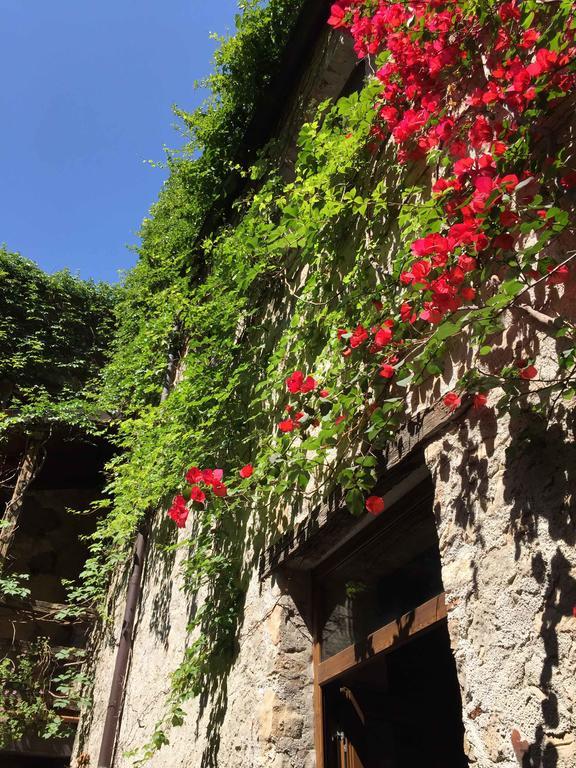 Vila Domus Laeta Giungano Exteriér fotografie